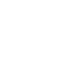 Playera
